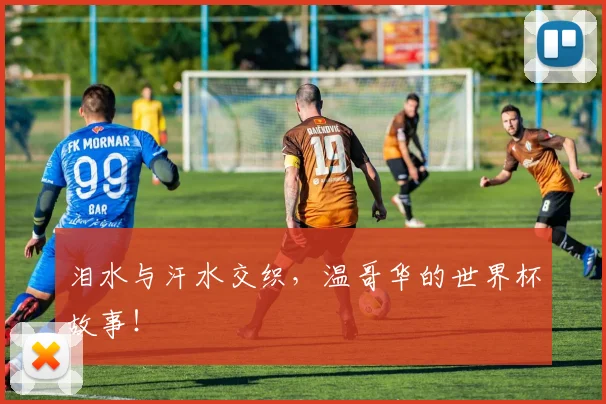 泪水与汗水交织，温哥华的世界杯故事！