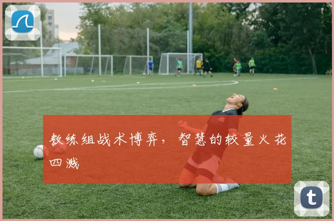 教练组战术博弈,智慧的较量火花四溅